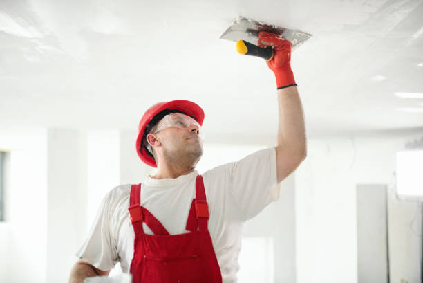 Best Mold Odor Removal Services  in Caddo Mills, TX